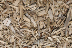biomass boilers Ardnadam